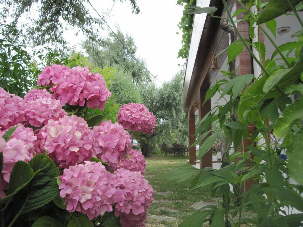 Uysallar Koy Evi İmroz Bagian luar foto